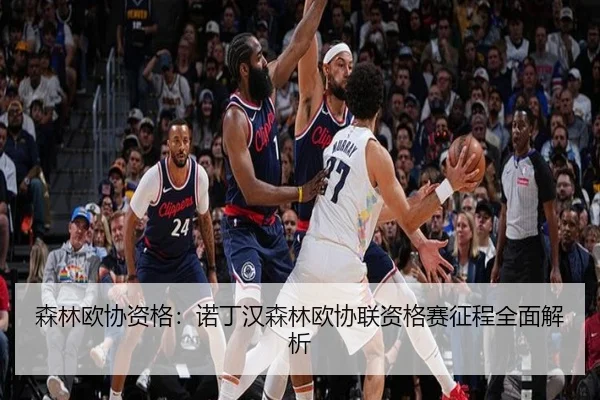 sen-lin-ou-xie-zi-ge-nuo-ding-han-sen-lin-ou-xie-lian-zi-ge-sai-zheng-cheng-quan-mian-jie-xi-2-247.jpg